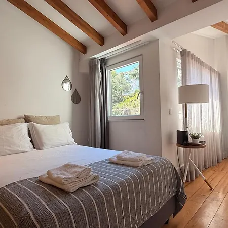 Zaza At Heart Of Auberge de jeunesse
