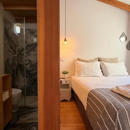 Zaza At Heart Of Albergue Coimbra
